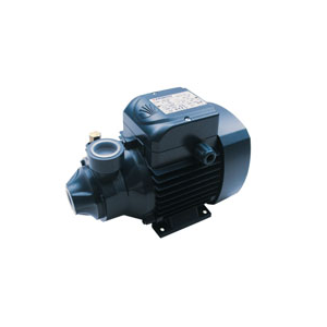 POMPE A EAU PK 60 PEDROLLO 220V/380V TRI