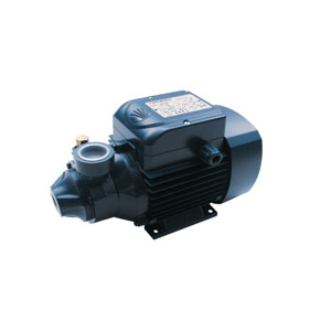 POMPE A EAU PK 80 PEDROLLO 220V/380V TRI